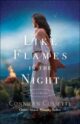 Like Flames in the Night (Book 4)