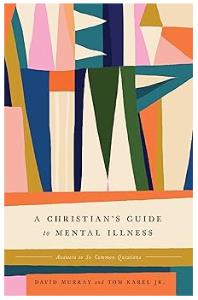 A Christian’s Guide to Mental Illness