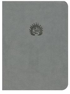 ESV Reformation Study Bible Light Grey Leather-like