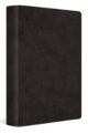 ESV Giant Print Value Personal Size Black