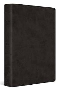 ESV Giant Print Value Personal Size Black