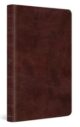 ESV Large Print Thinline Bible Mahogany